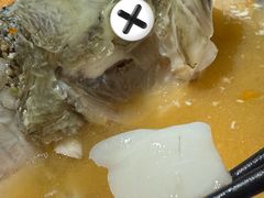-佬肥猫(国华广场店)