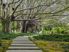 -西湖公园(鼓楼区)
