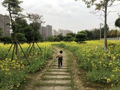 -龙江公园