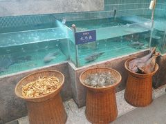 -鱼你相聚·河鲜馆(袁家岭店)