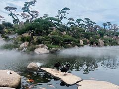 -罗红摄影艺术馆