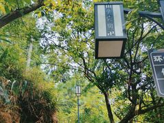 -广东天露山旅游度假区