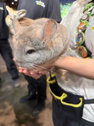 -Zoolung Zoolung动物主题公园(海信广场店)