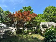 -缥缈峰景区