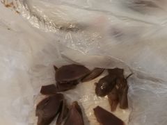 -杨震卤菜旗舰店