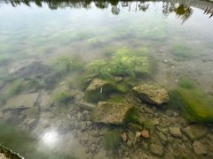 -丁香湖公园