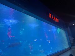 -福州罗源湾海洋世界旅游区