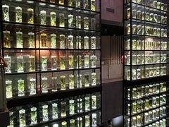 -广东中医药博物馆