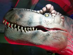 -恐龙探索乐园(磁器口店)