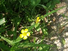 -碓臼峪自然风景区