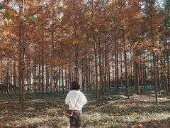-河南省黄河迎宾馆