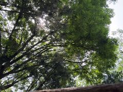 -秦岭风景区
