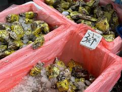 -新农都水产市场