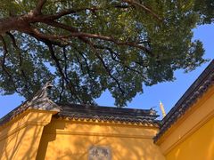 -灵岩山风景区