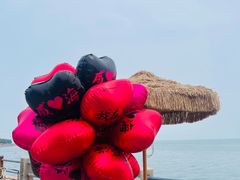 -悦海公园
