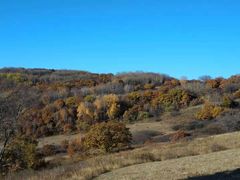 -塞罕坝国家级自然保护区