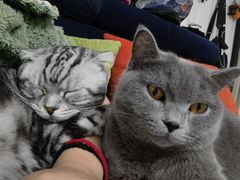 -酷宠动物医院(天通西苑店)