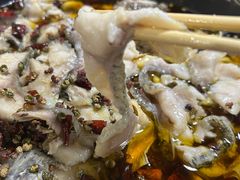 -金三可市井水煮鱼(金碧园店)