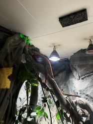 -Zoolung Zoolung动物主题公园(海信广场店)