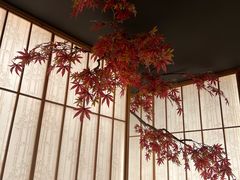 -和枫(众意路店)