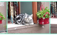 -长颈鹿咖啡(大学路店)