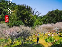 -广州市白云山风景名胜区