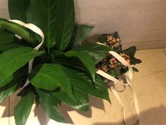 -鹿岛会员店 (龙湖三千集天街店)