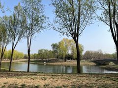 -东郊湿地公园