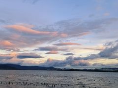 -深圳湾公园(南山区)