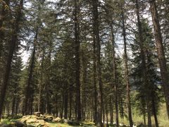 -硗碛藏寨·神木垒景区