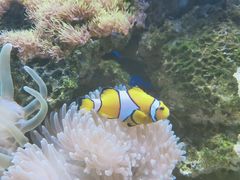 -多彩贵州城极地海洋世界