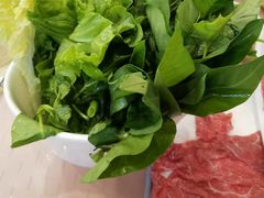-诗爷牛尾汤(大坪英利店)