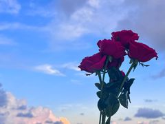 -精酿农场Brew Farm·沙漠绿洲餐厅