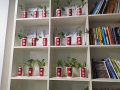 -红瓜子 影视后期 摄影摄像设计 新媒体运营技能培训(宝安校区)