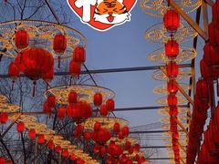 -青龙湖公园