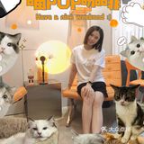 🔥别去东山口了！🐱这里的猫好粘人！！超好出片