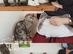 -Catmate·猫肥家润(金润铂宫店)