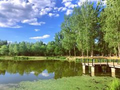 -东郊湿地公园