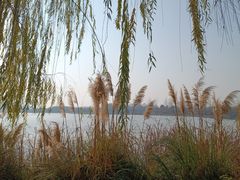 -东湖落雁景区