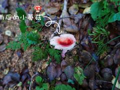 -北京密云天门山风景区