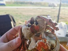 -七的湖·晚芳亭·阳澄湖农家菜·大闸蟹(莲花岛店)