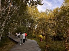 -北极村旅游风景区