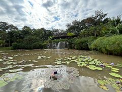 -中国科学院西双版纳热带植物园