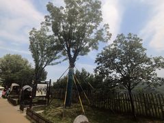 -白鹿原影视城