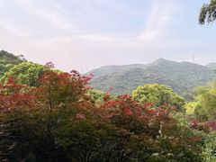 -北仑森林植物园