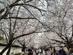-醍醐寺
