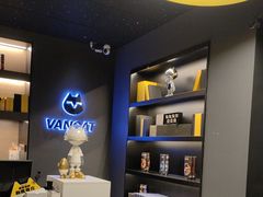 -梵猫·新养生(加州广场店)