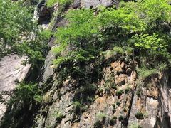 -汤旺河林海奇石景区