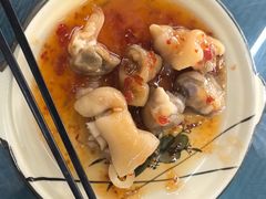 -古榕农庄·桑拿簸箕菜·招牌泥焗鸡(清远长隆店)