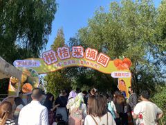 -上海长兴岛郊野公园